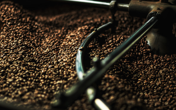 MORIKAWA COFFEEのおいしさへの3つの条件